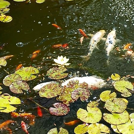 Chez Marie Bed & Breakfast Cercy-la-Tour Luaran gambar